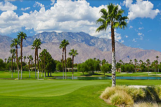 Desert Princess Country Club - Palm Springs Golf Course 05