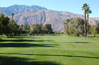 Mesquite Country Club - Palm Springs Golf Course 07