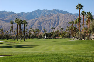 Mesquite Country Club - Palm Springs Golf Course 07