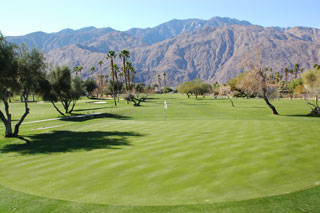 Mesquite Country Club - Palm Springs Golf Course 07