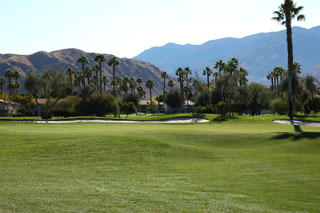 Mesquite Country Club - Palm Springs Golf Course 07