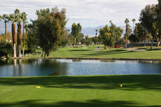 Palm Desert Resort Country Club | Palm Springs golf course